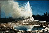 Geyser, Yellowstone Park by Albert Bierstadt